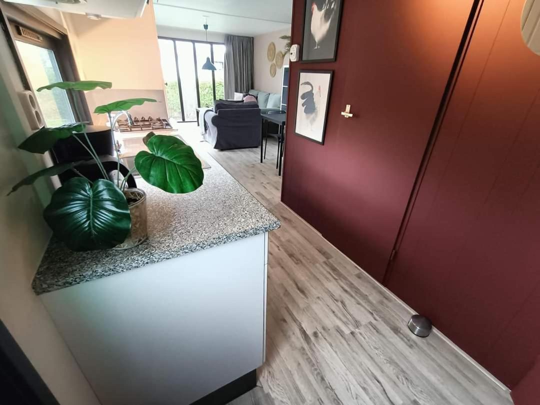 Do'S Chalets Baarland Zewnętrze zdjęcie
