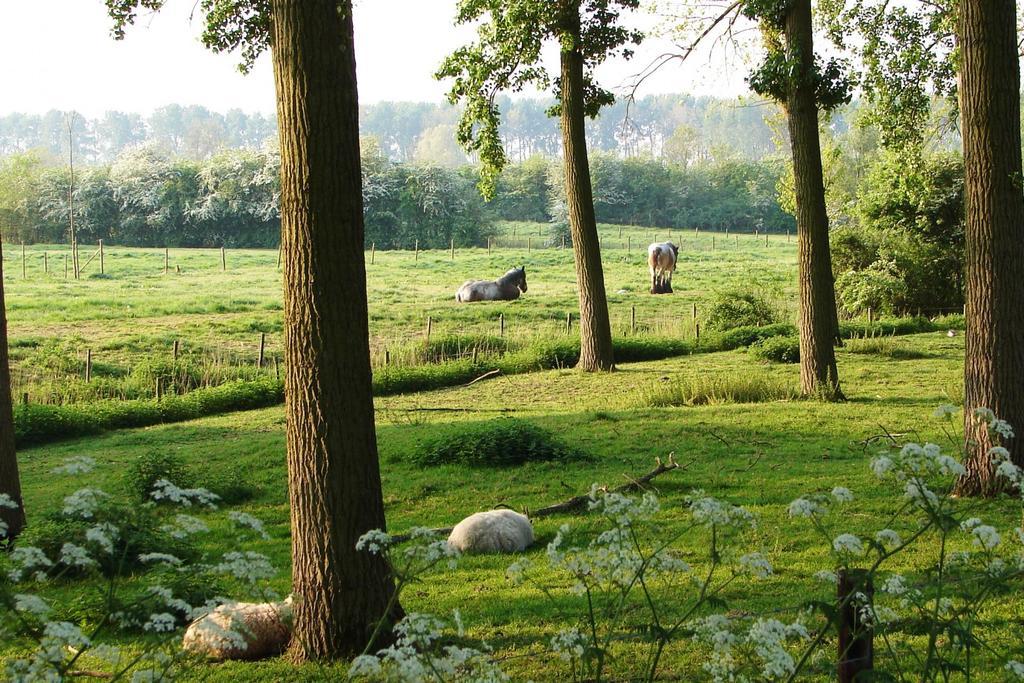Do'S Chalets Baarland Zewnętrze zdjęcie